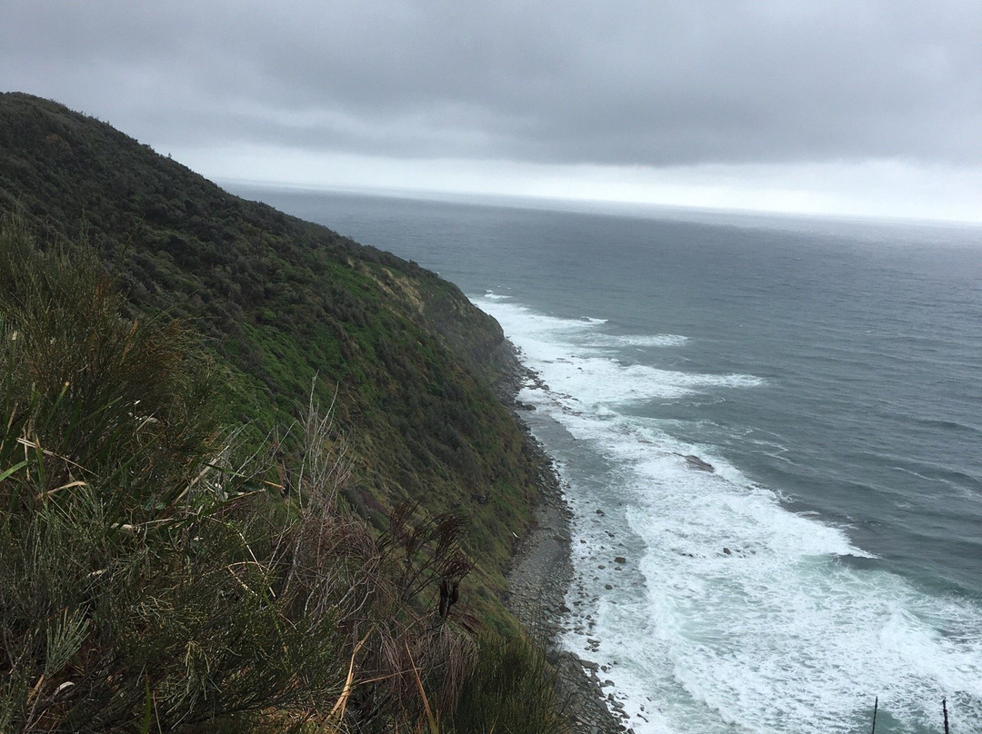 Crackneck Lookout Coast Walk-Bateau Bay必去景点