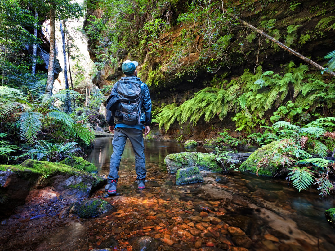 Epic One Adventures-德雷珀必去景点