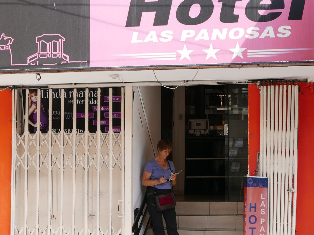 Hotel Las Panosas