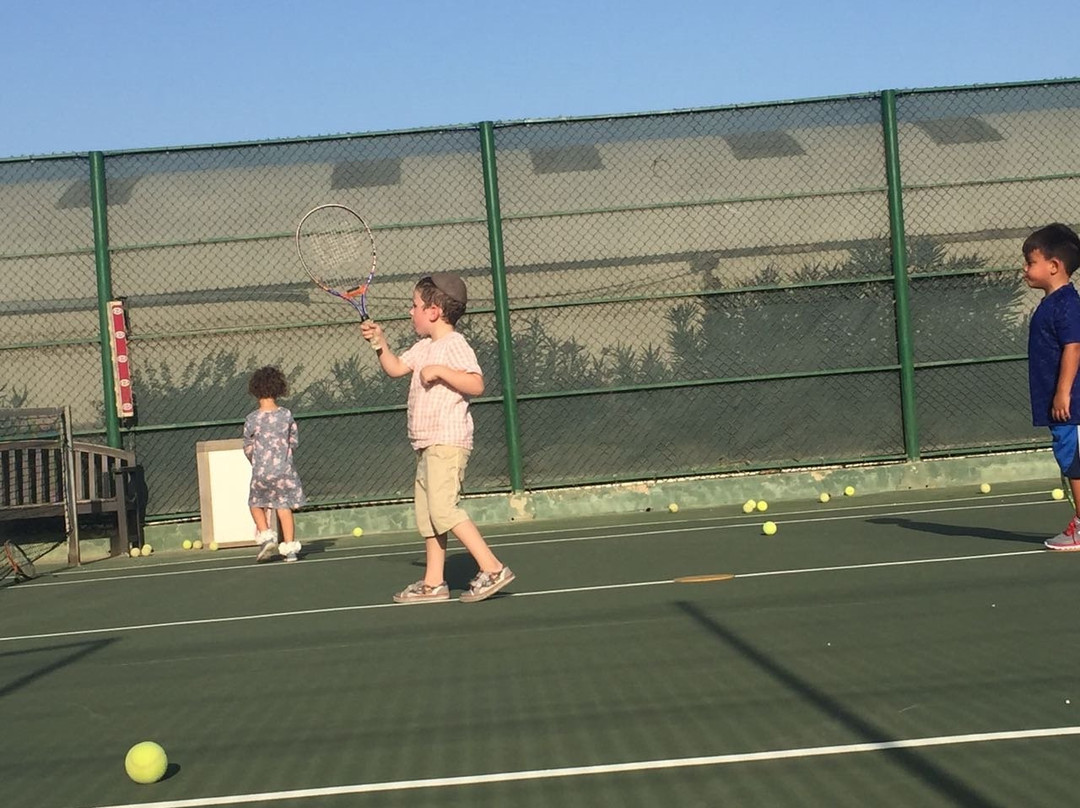 Omnibus Tennis-Noord必去景点