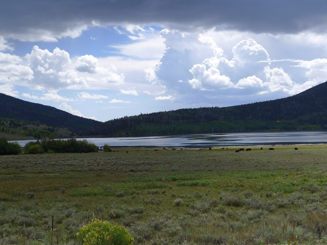 Fishlake National Forest-里奇菲尔德必去景点