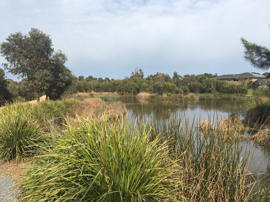 Botanic Ridge Wetlands-Cranbourne必去景点