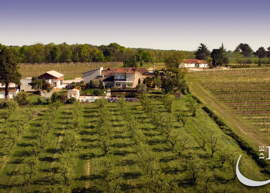 Domaine de Ferrant景点图片