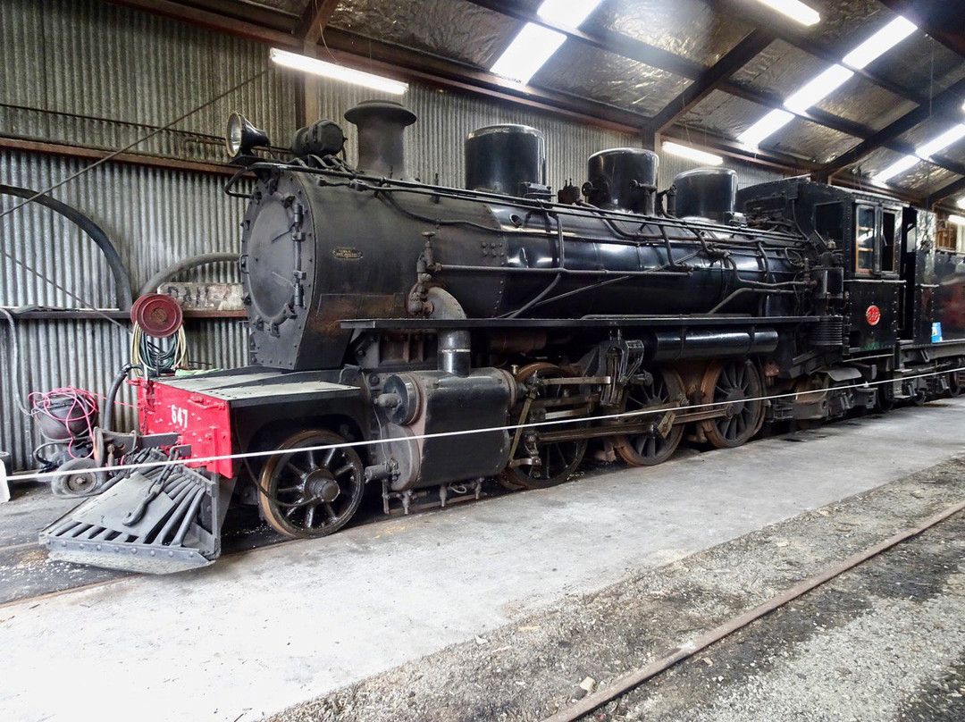 Silver Stream Railway-惠灵顿必去景点