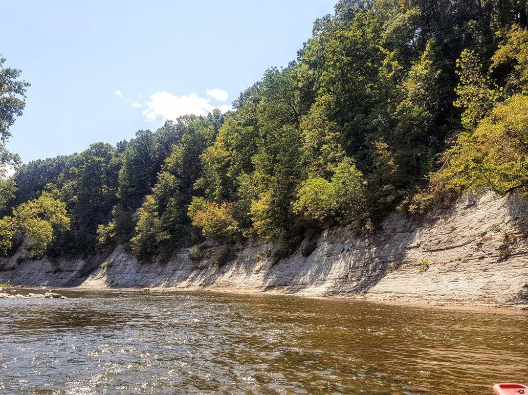 Clements Canoes Outdoor Center Canoe and Kayak Trips- Day Tours景点图片