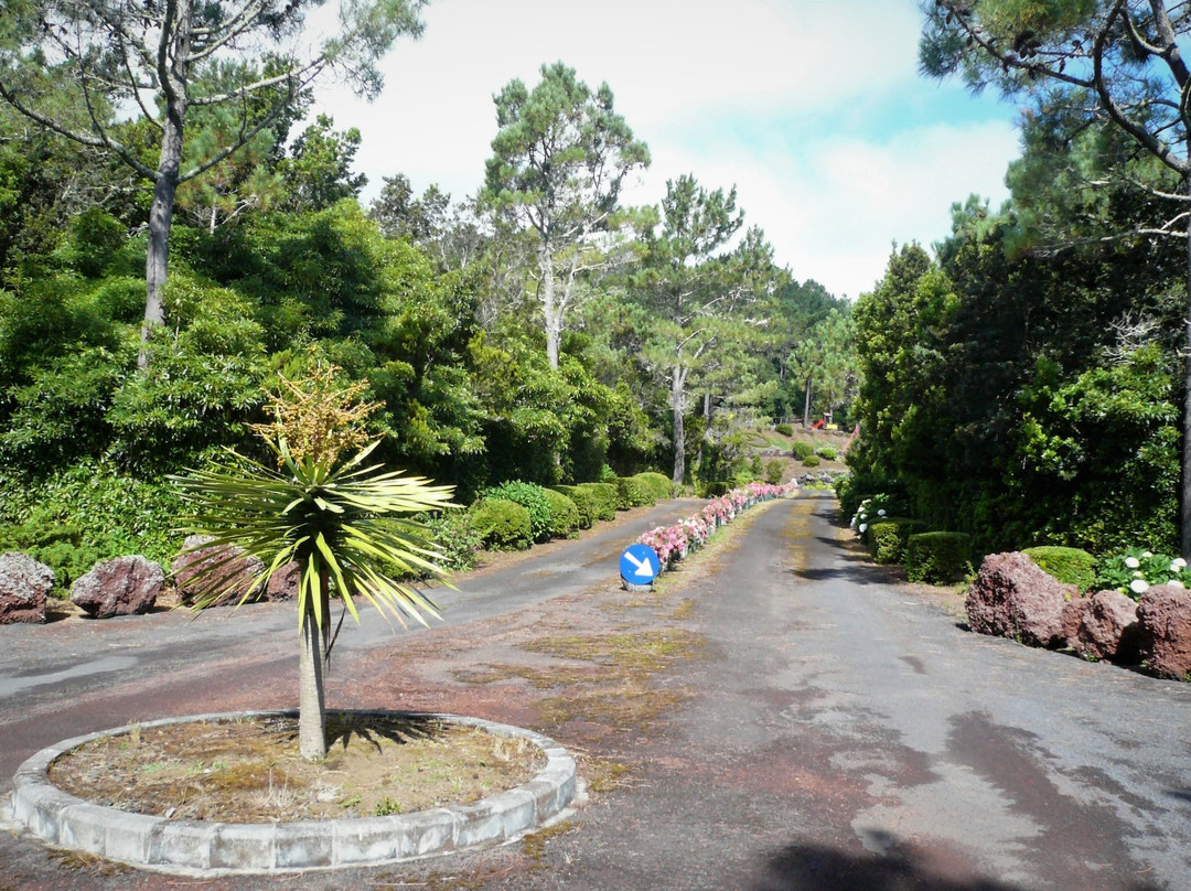 Reserva Florestal de Recreio da Prainha-Sao Roque do Pico必去景点