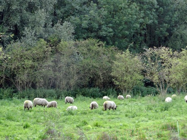 Natuur en Recreatiegebied Broekpolder景点图片