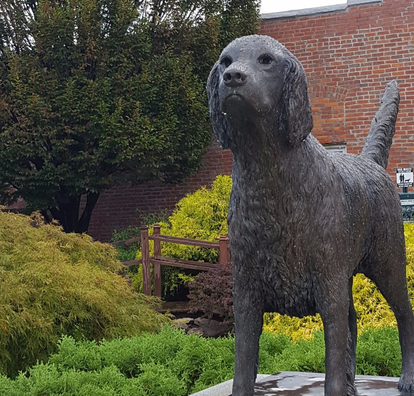 Wonder Dog Memorial Garden景点图片