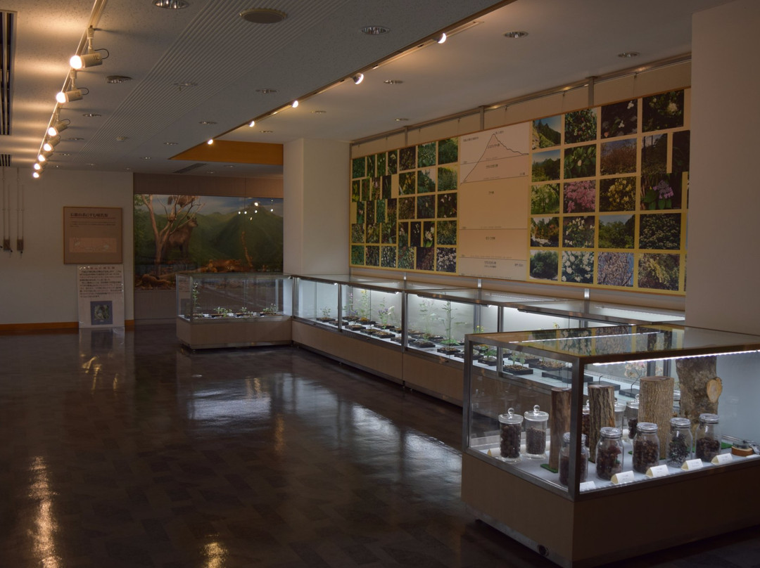 Omogo Mountain Museum-久万高原町必去景点