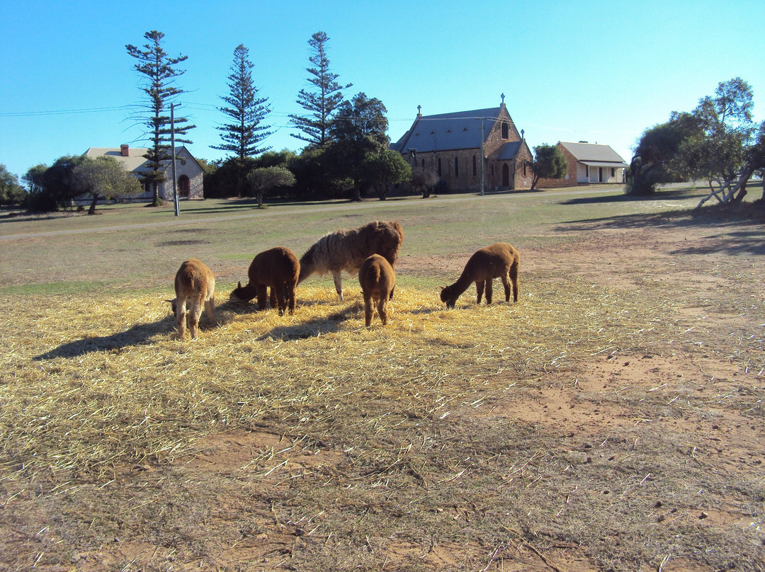 Greenough旅游攻略图片