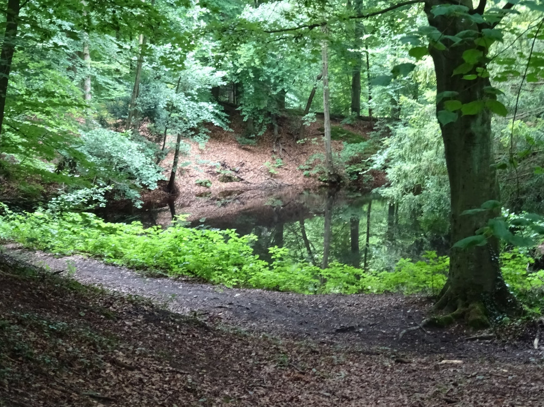 Wassenaar, Zuid-Holland-Wassenaar必去景点