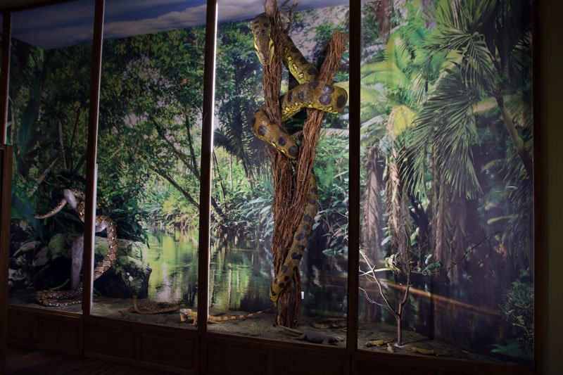 Regional Natural History Museum of Plovdiv-普罗夫迪夫必去景点