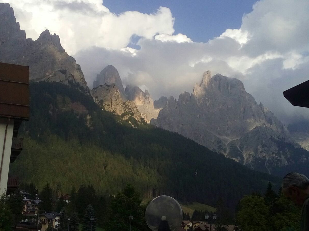 Agility Forest San Martino di Castrozza景点图片