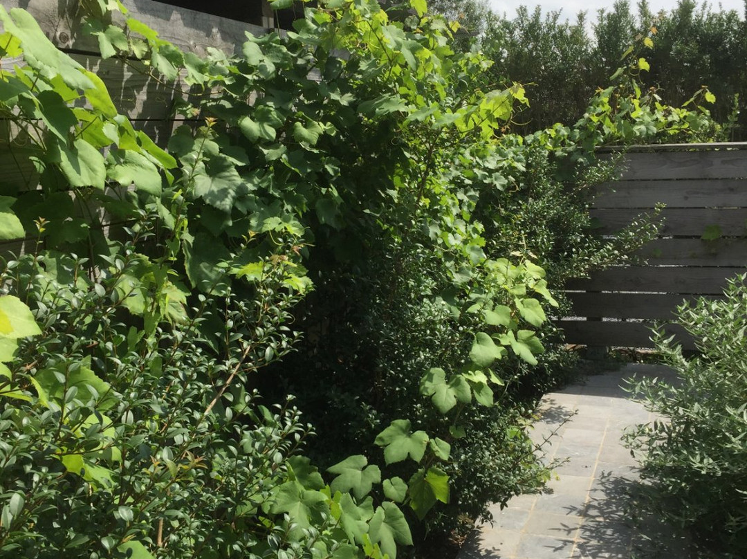 Guesthouse Luttelkolen主图