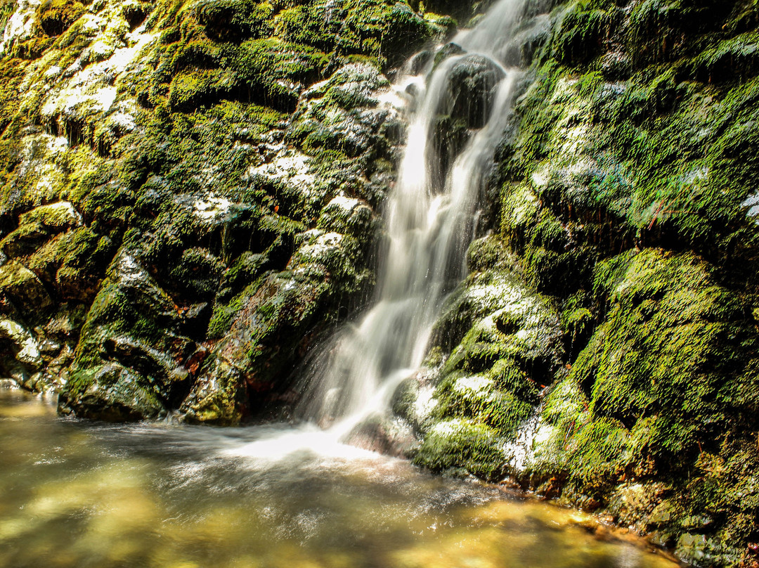 Chantara Waterfall景点图片