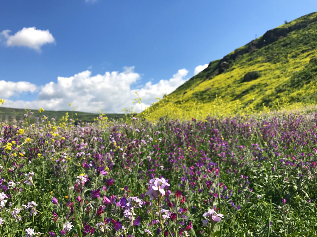 Susita (Hippos) Nature Reserve and National Park-Ein Gev必去景点