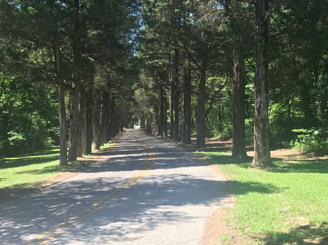 Otter Creek Outdoor Recreation Area-Brandenburg必去景点