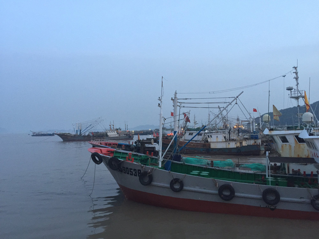 沈家门渔港-舟山市必去景点