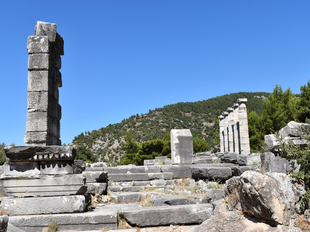 Gullubahce旅游景点-Priene Antik Kenti