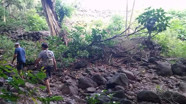 Ili'ili'opae Heiaui via Wailau Trail-考纳卡卡伊必去景点