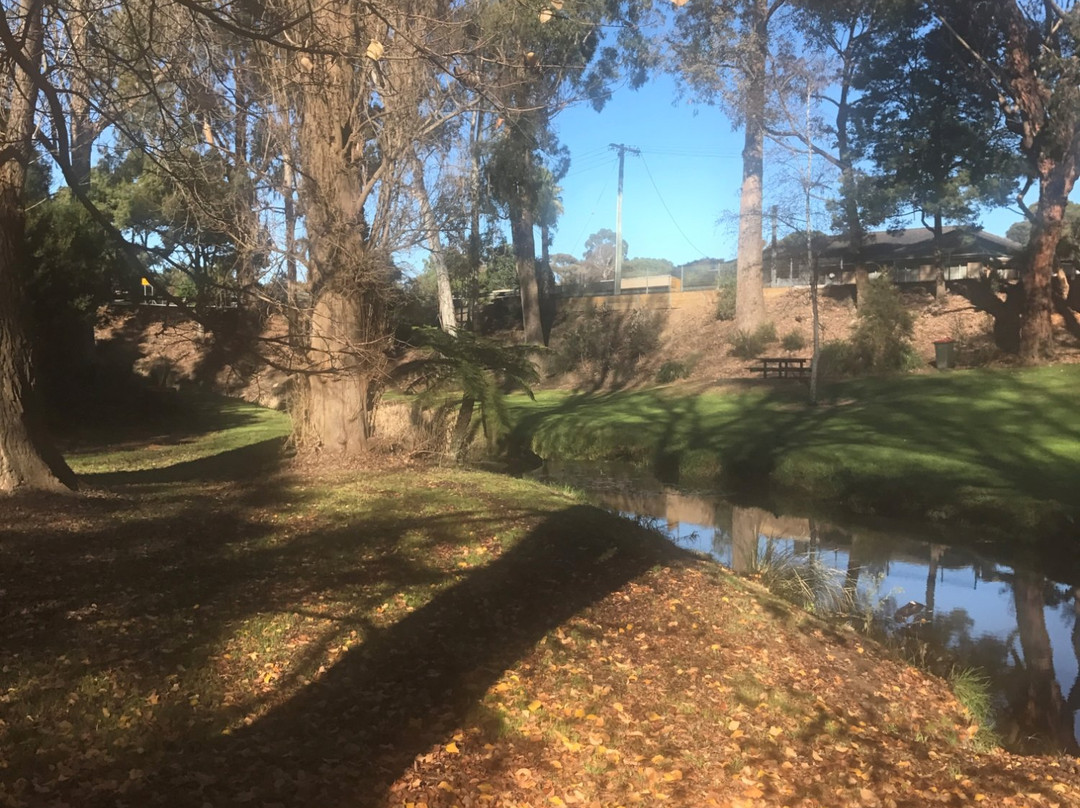 Pearl Park-福斯特必去景点