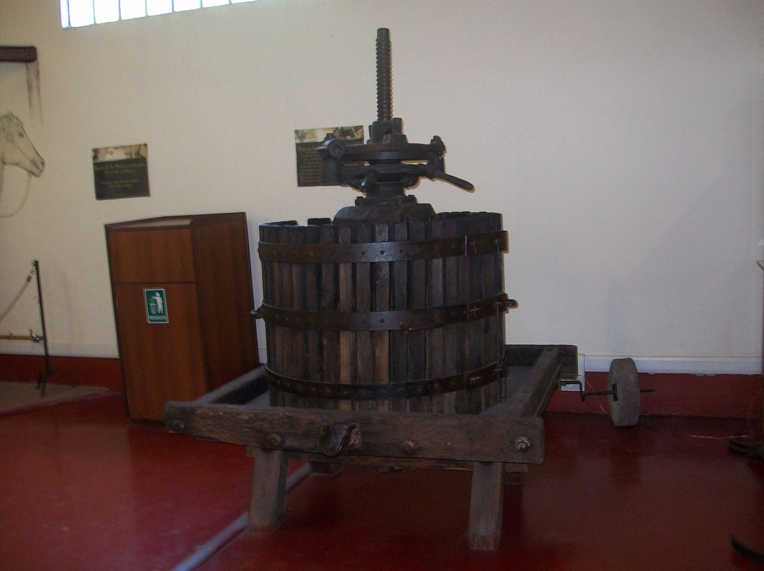 Yancanelo-圣拉斐尔必去景点