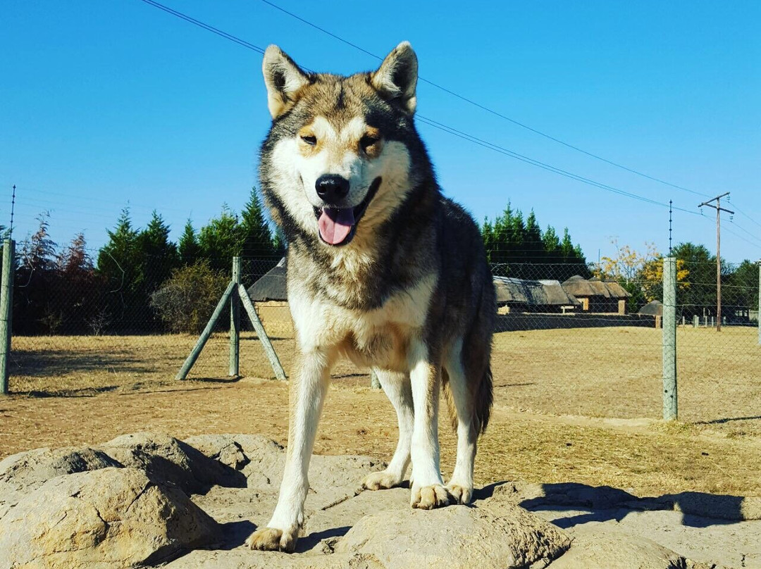 Caesar's Bush Palace-瓦尔沃特必去景点