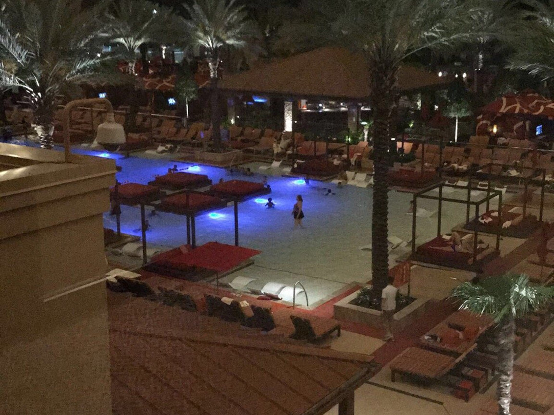 H2O Pool + Bar景点图片