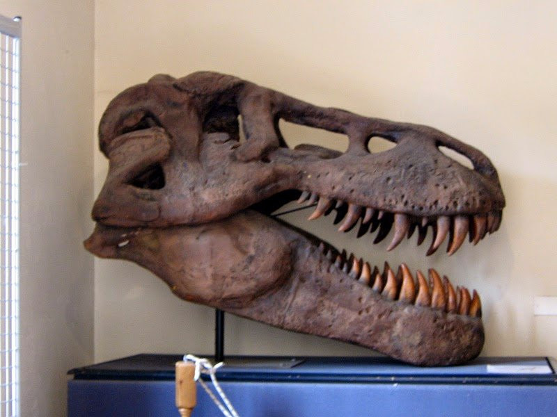 Museo la Terra e l'uomo-Crocetta del Montello必去景点