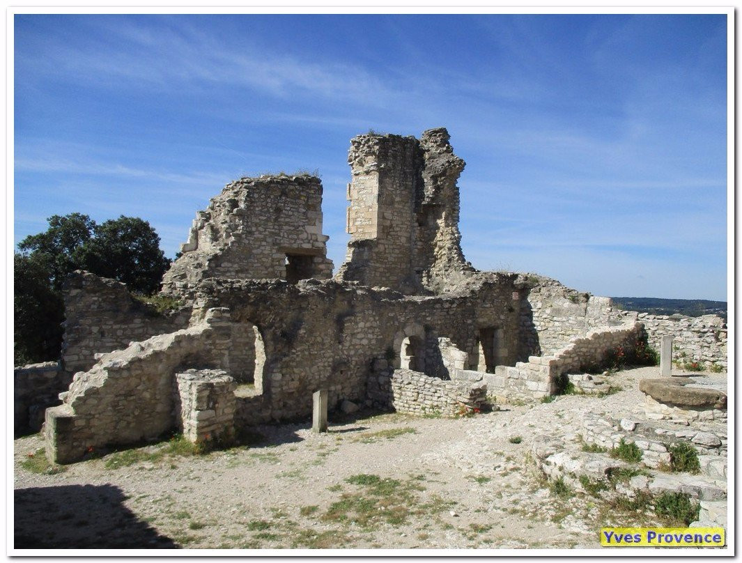 Chateau de Thouzon景点图片