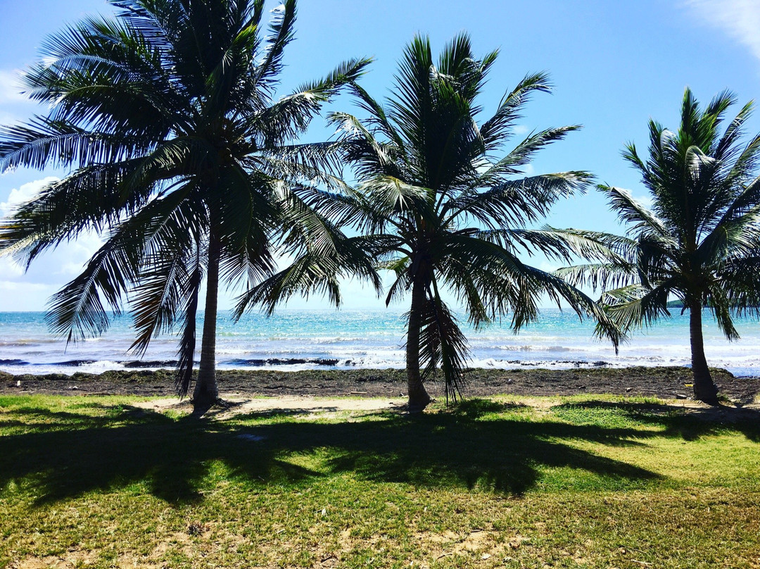 Playa Los Machos-Ceiba必去景点