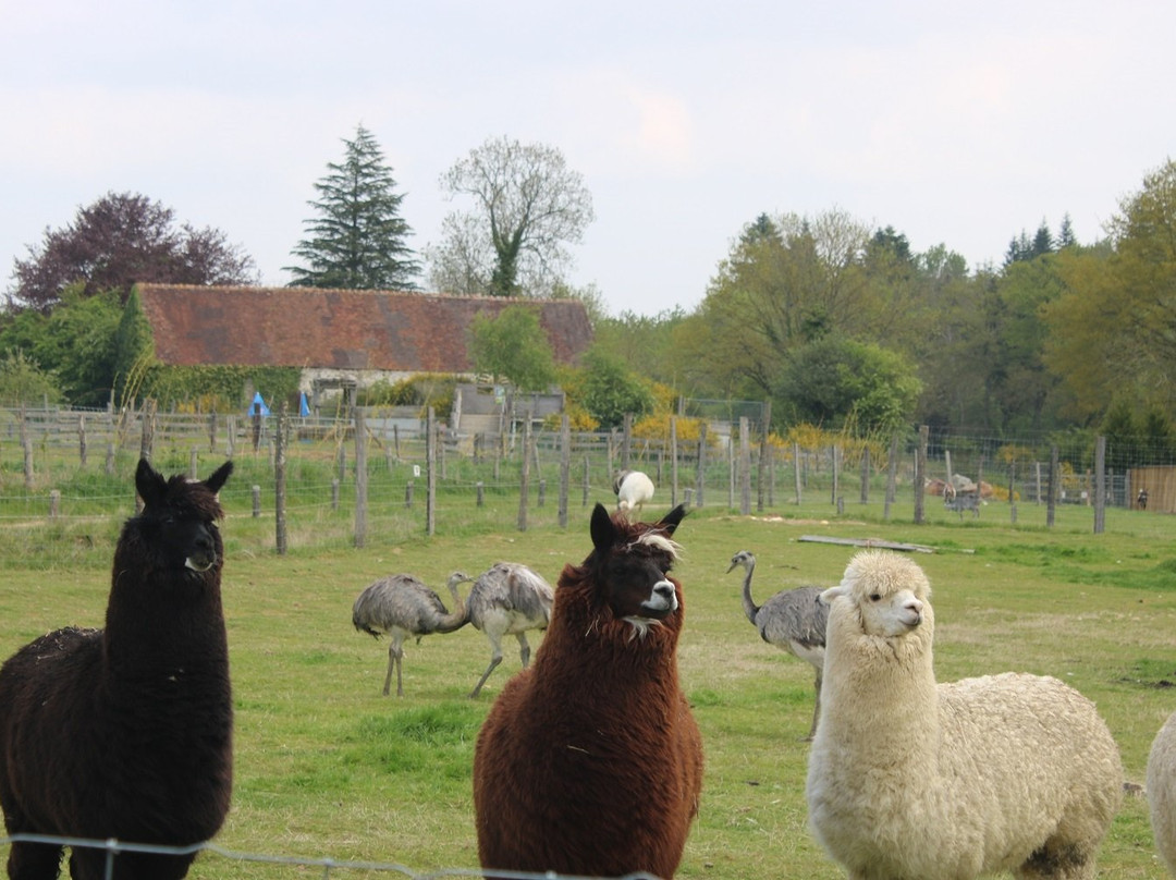 Parc Animalier d'Ecouves景点图片