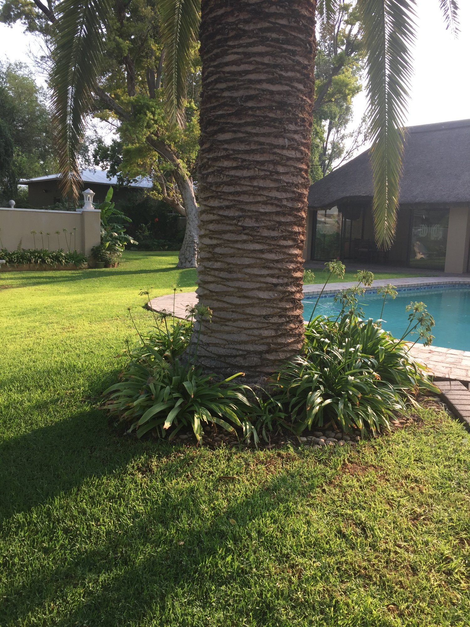 Castello Guest House-浴室