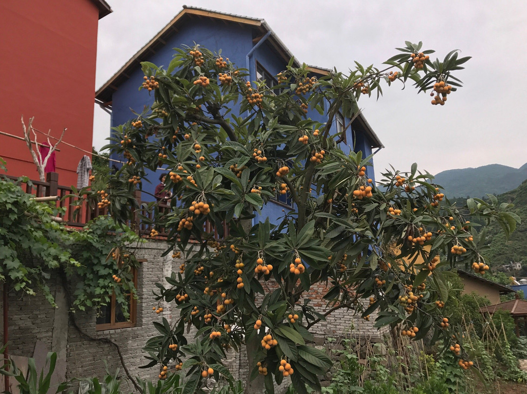 昭君村-兴山县必去景点