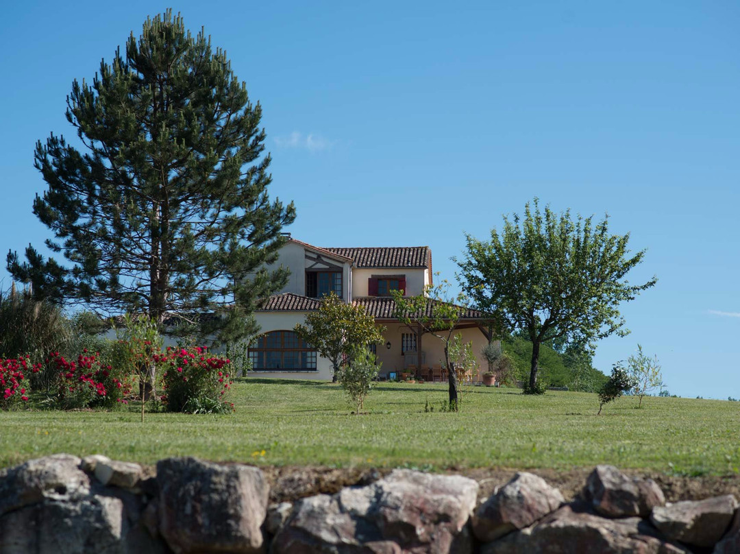 Domaine du Grand Mayne景点图片