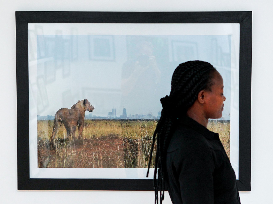 Upepo Photography Gallery-内罗毕必去景点