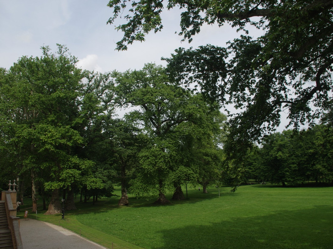 Parco Cavour景点图片