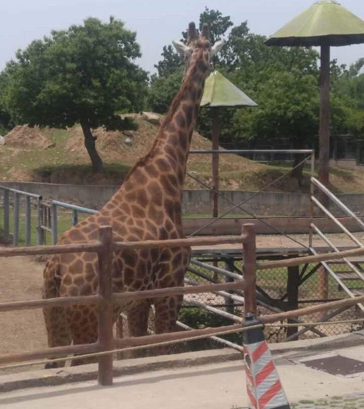 秦岭野生动物园-西安市必去景点