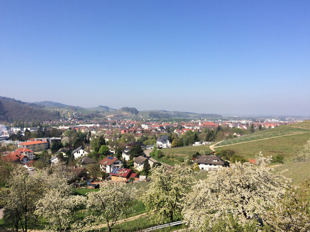 Oberkircher Winzer景点图片