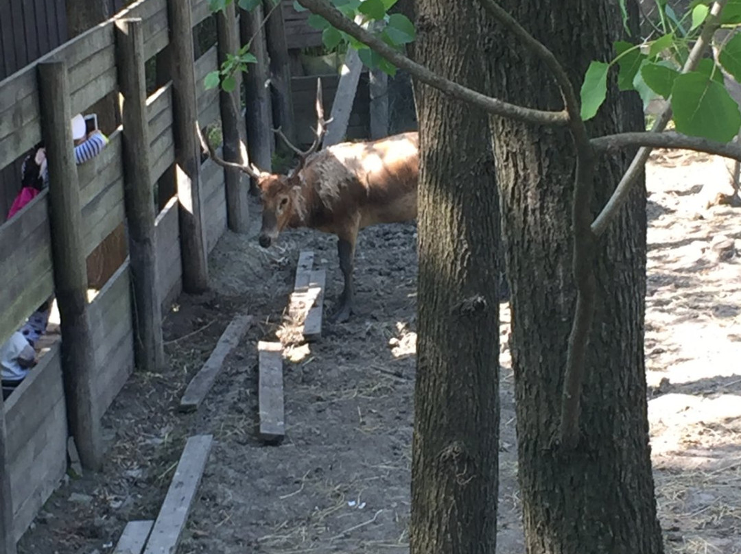 泰州溱湖湿地农业生态园-姜堰市必去景点