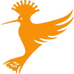 African Hoopoe Tours-开普敦中心区必去景点