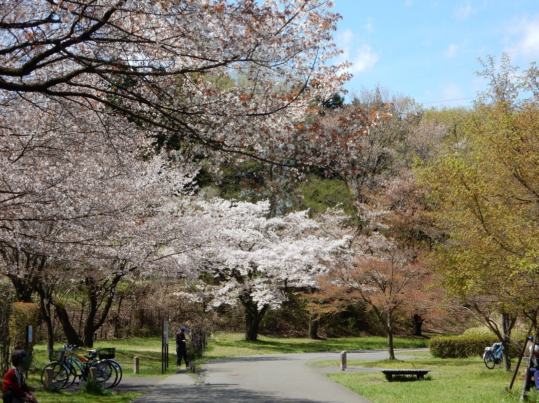 One Street-町田市必去景点