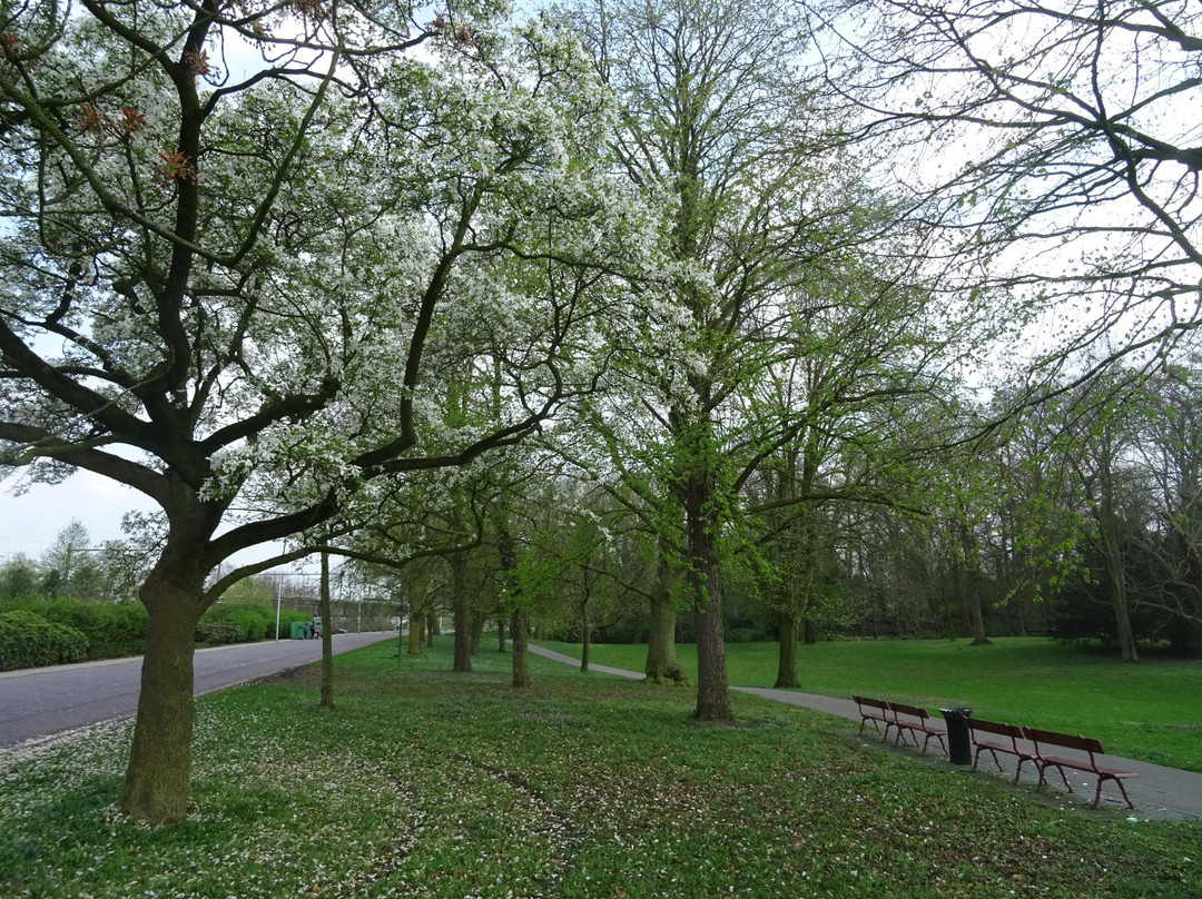 Rijsterborgherpark景点图片