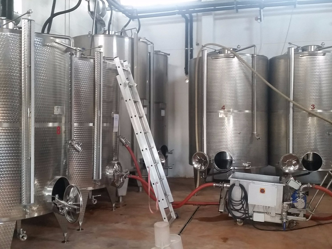 Podere dell'Angelo-里米尼必去景点