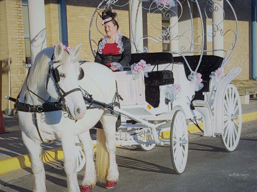 Fantasia Carriage-Lago Vista必去景点