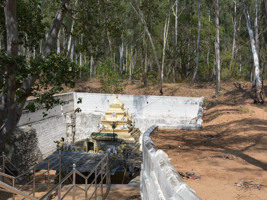 Pathaleshwara Temple-Talakad必去景点