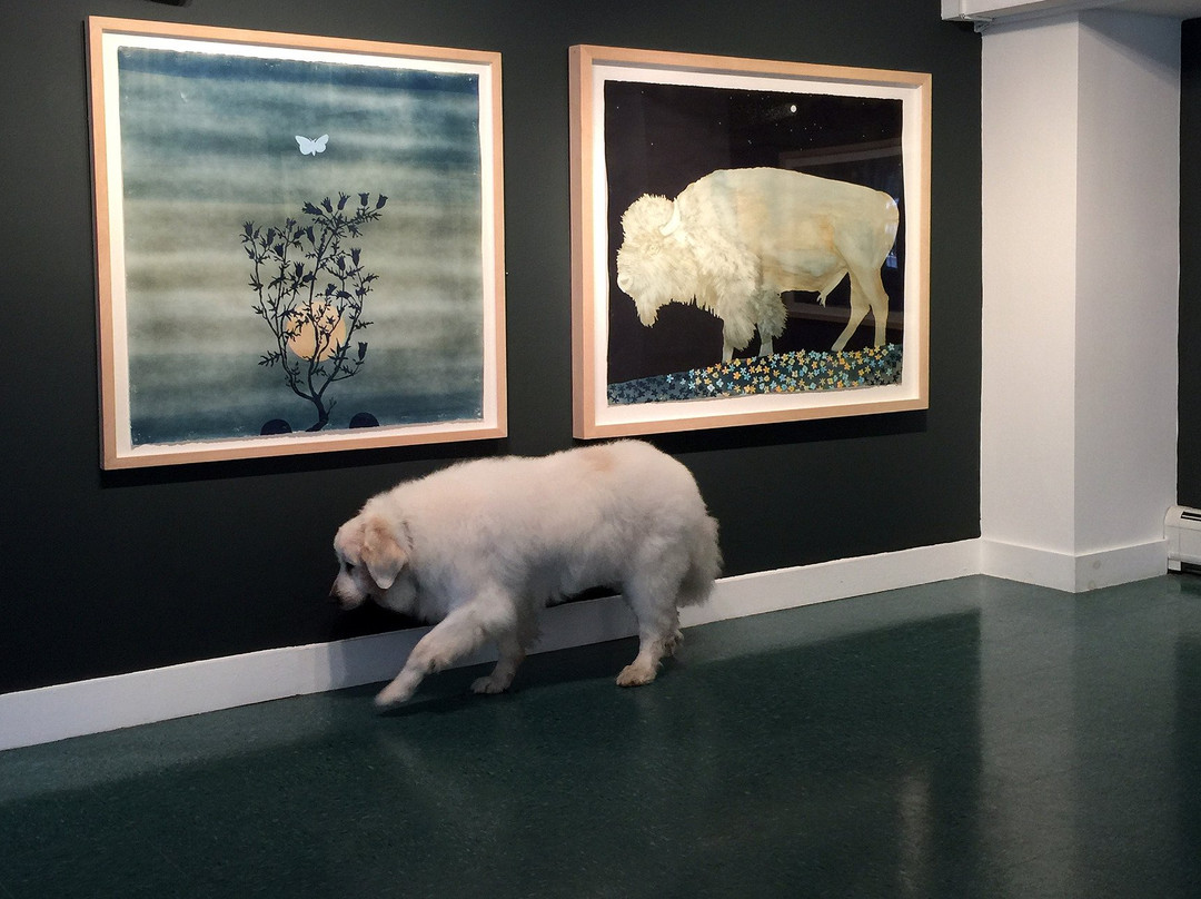 Walker Contemporary-Waitsfield必去景点