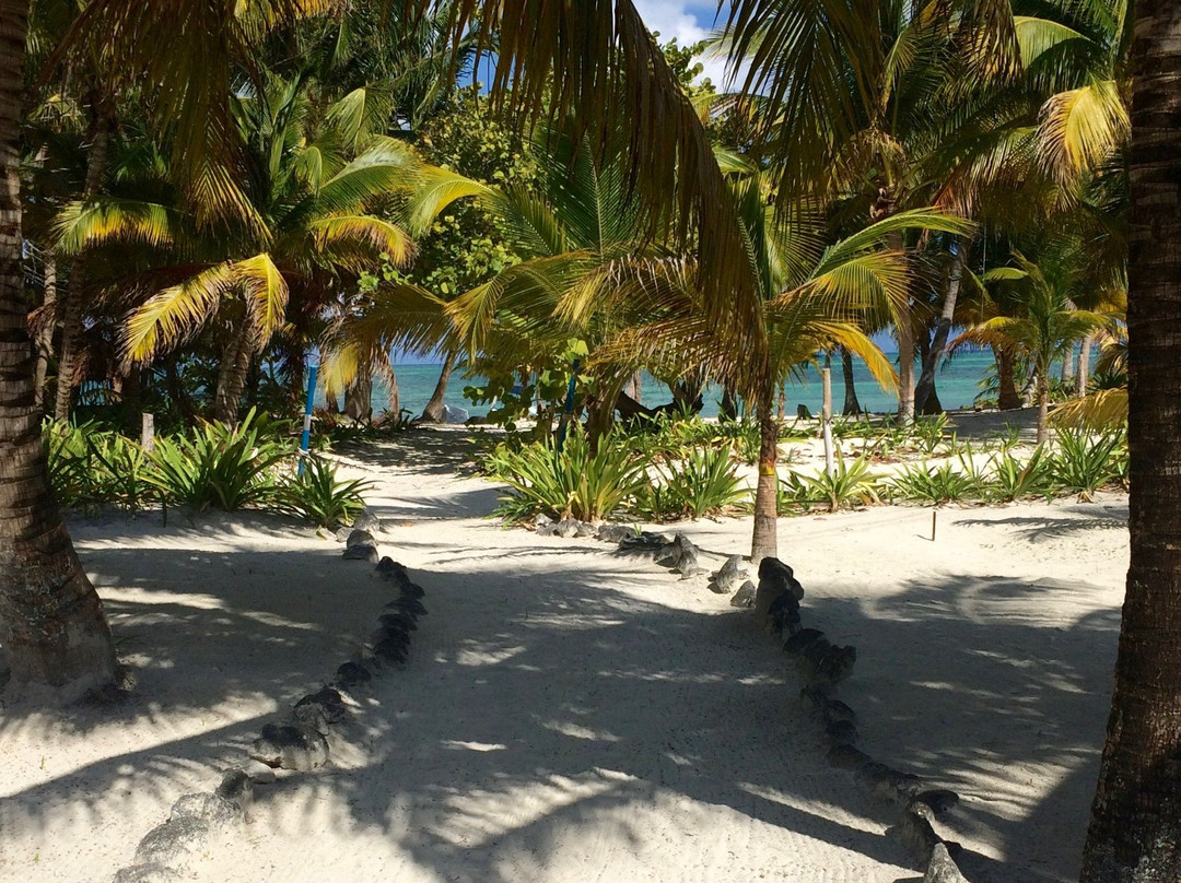 The Ascension Bay Bed and Breakfast主图