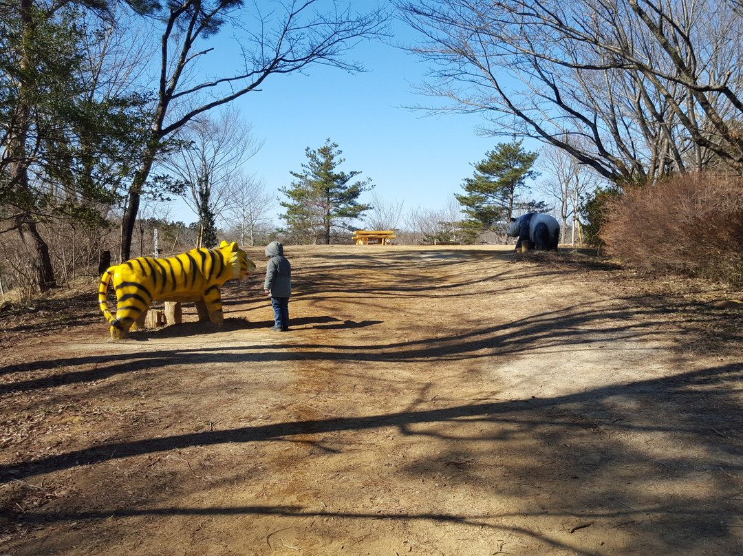 Mito City Forest Park-水户市必去景点