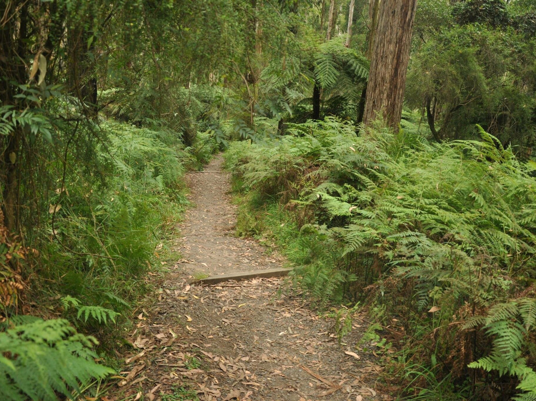 Belgrave Lake Park-贝尔格雷夫必去景点